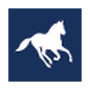 Box Hill Institute logo